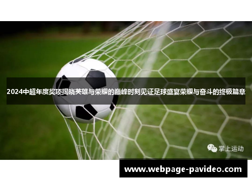 2024中超年度奖项揭晓英雄与荣耀的巅峰时刻见证足球盛宴荣耀与奋斗的终极篇章