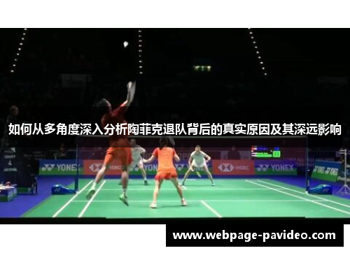 如何从多角度深入分析陶菲克退队背后的真实原因及其深远影响