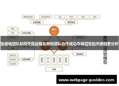 张德培团队如何凭借战略布局和团队协作成功夺得冠军的关键因素分析