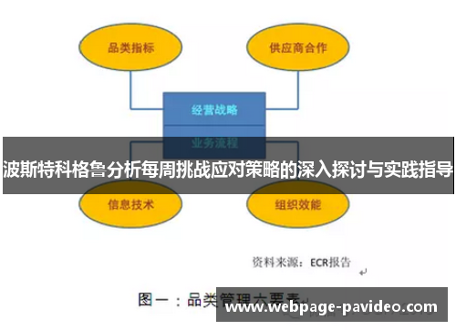 波斯特科格鲁分析每周挑战应对策略的深入探讨与实践指导